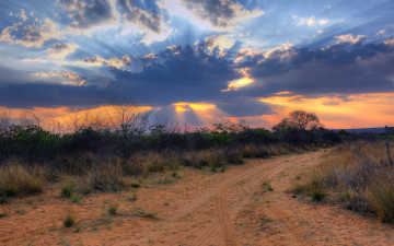 Картинка природа дороги дорога трава кусты тучи