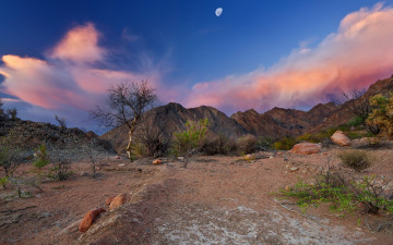 Картинка природа горы камни дерево