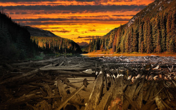 Картинка природа реки озера лес река тучи бревна