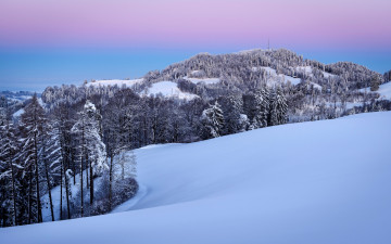 Картинка природа зима снег лес