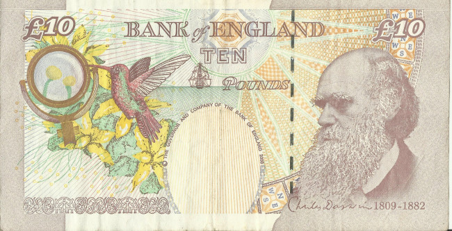 Обои картинки фото разное, золото, купюры, монеты, деньги, купюра