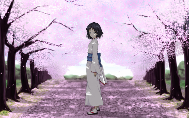 Обои картинки фото аниме, kara, no, kyokai, сакура, девушка