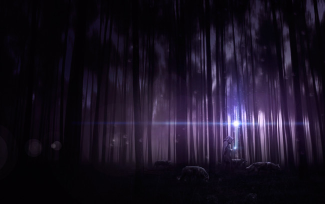 Обои картинки фото фэнтези, маги, магия, камни, колдун, лес