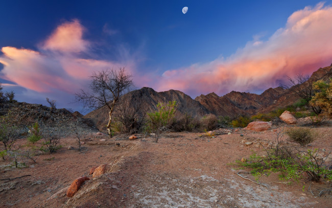 Обои картинки фото природа, горы, камни, дерево