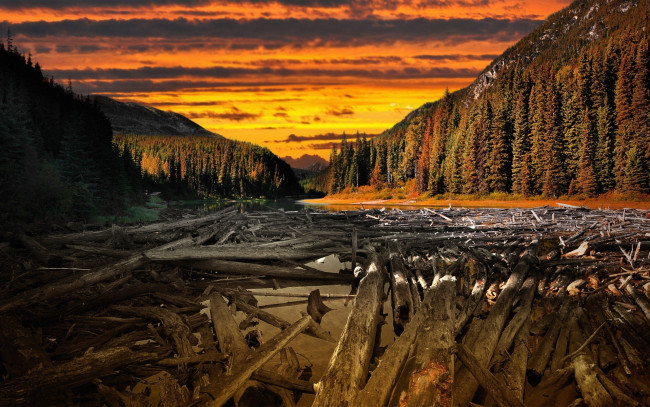 Обои картинки фото природа, реки, озера, лес, река, тучи, бревна