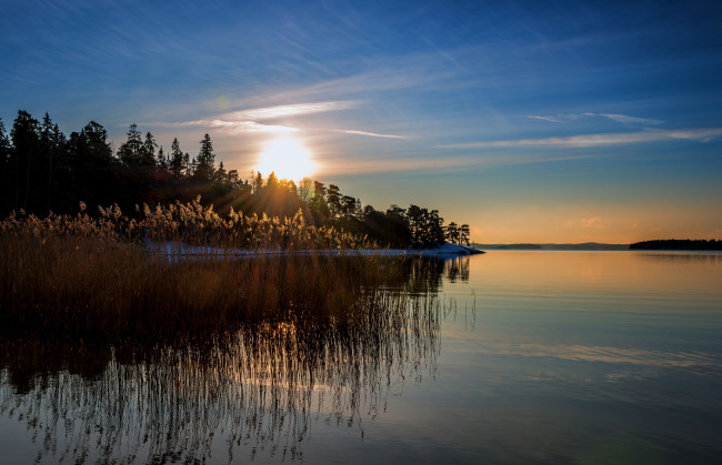 Обои картинки фото природа, восходы, закаты, финляндия, камыш, балтийское, море, закат, отражение