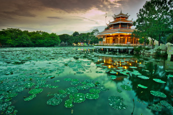 Картинка природа парк огни павильон пруд кувшинки вечер