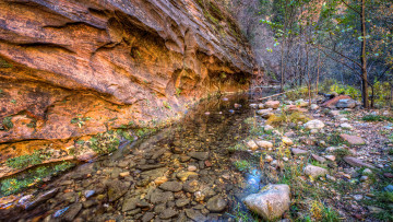 Картинка природа реки озера камни вода