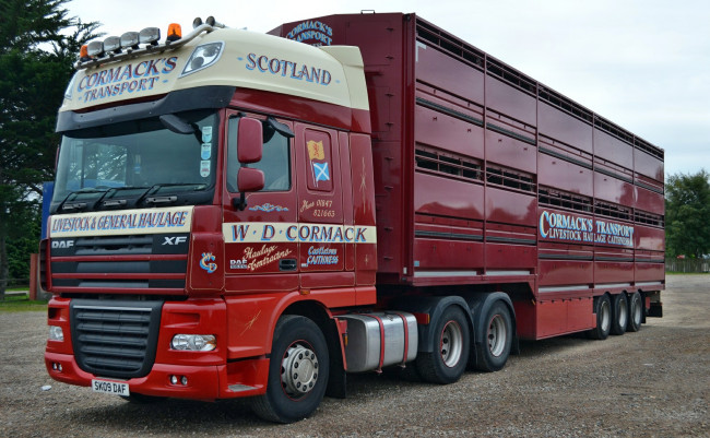 Обои картинки фото daf, автомобили, daf , выставка, улица, нидерланды, тягачи, седельные, шасси, nv, trucks, автобусы