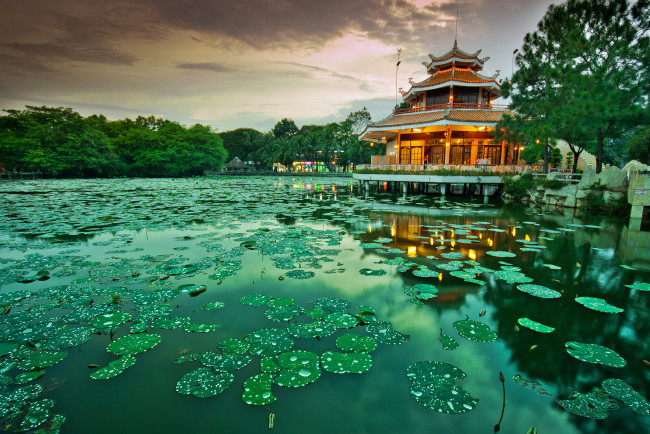 Обои картинки фото природа, парк, огни, павильон, пруд, кувшинки, вечер