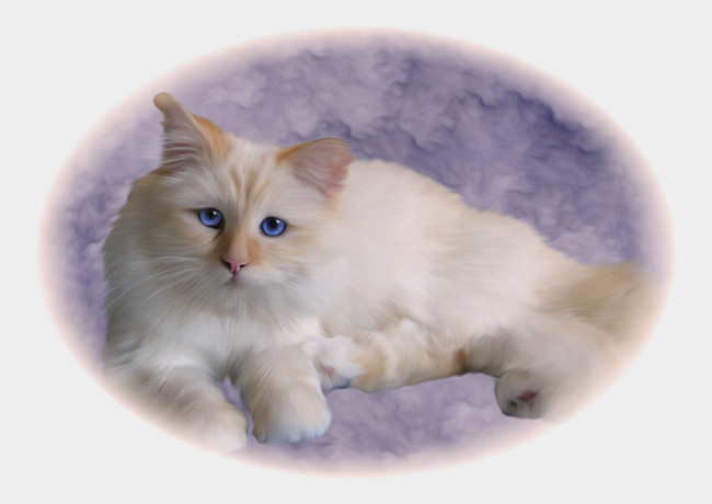 Обои картинки фото рисованные, животные,  коты, фон, взгляд, киса