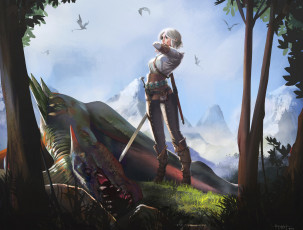 Картинка видео+игры the+witcher меч the witcher девушка арт цирилла цири