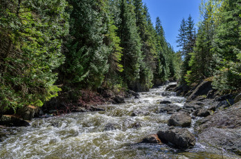 Картинка природа реки озера лес река