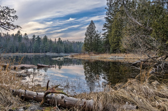 Картинка природа реки озера река лес