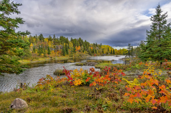 Картинка природа реки озера река лес