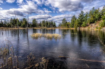 Картинка природа реки озера река лес