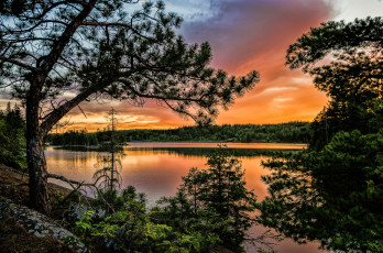 Картинка природа реки озера река лес