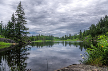 Картинка природа реки озера река лес