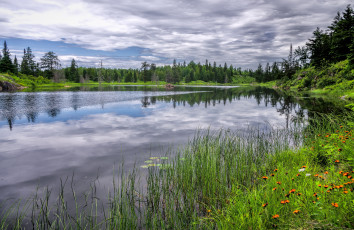 Картинка природа реки озера река лес