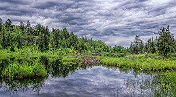 Картинка природа реки озера лес река