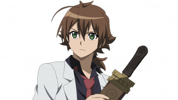 Картинка аниме akame+ga+kill тацуми