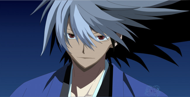 Обои картинки фото аниме, nurarihyon no mago, nura, rikuo, nurarihyon, no, mago