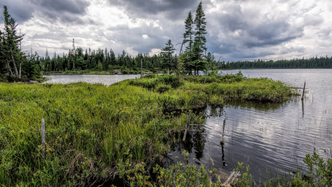 Обои картинки фото природа, реки, озера, река, лес