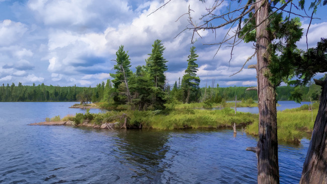 Обои картинки фото природа, реки, озера, река, лес