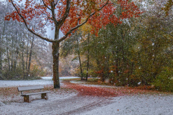 Картинка природа дороги тракт