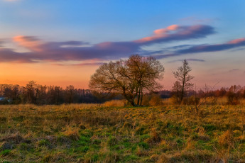 Картинка природа пейзажи простор