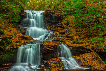 Картинка природа водопады водопад река лес