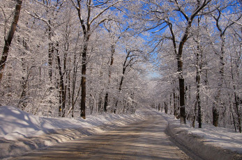 Картинка природа дороги тракт