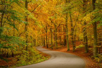 Картинка природа дороги тракт