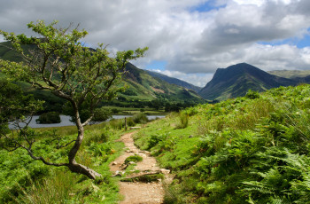 Картинка природа пейзажи простор