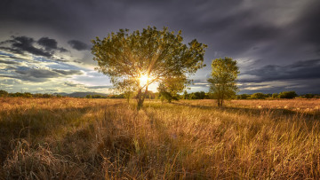 Картинка природа пейзажи простор