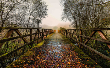 Картинка природа дороги тракт