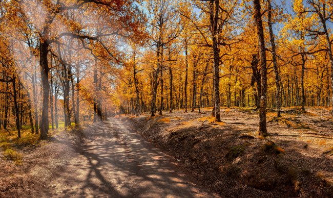 Обои картинки фото природа, дороги, тракт