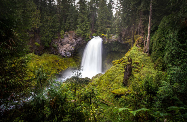 Обои картинки фото природа, водопады, водопад, река, лес