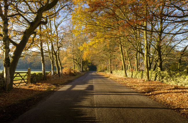 Обои картинки фото природа, дороги, тракт