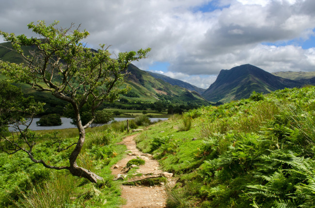 Обои картинки фото природа, пейзажи, простор