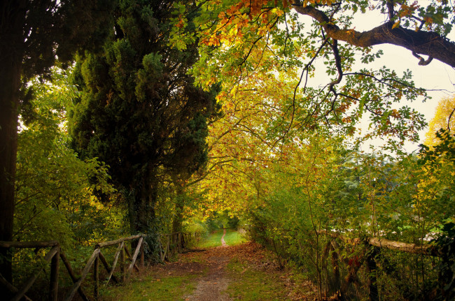 Обои картинки фото природа, дороги, тракт