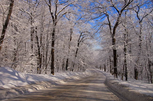 Обои картинки фото природа, дороги, тракт