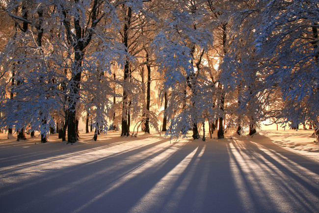 Обои картинки фото природа, дороги, тракт