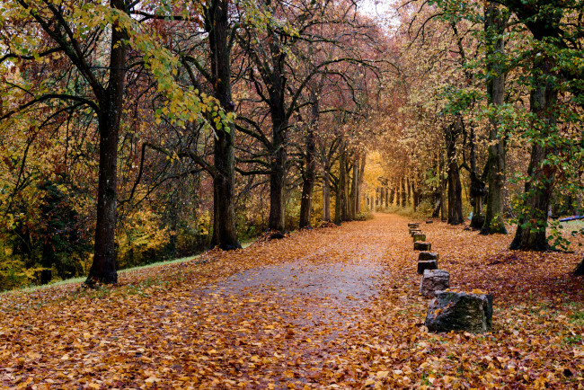 Обои картинки фото природа, дороги, тракт