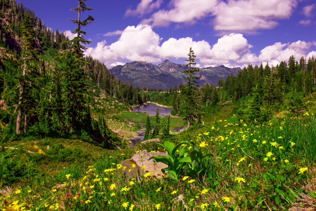 Обои картинки фото природа, пейзажи, простор