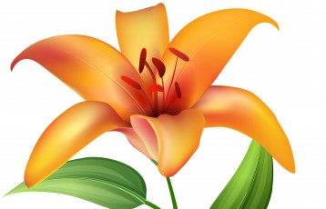 обоя векторная графика, цветы , flowers, цветы, фон, лепестки