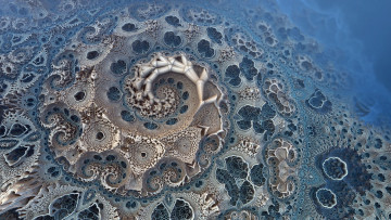 Картинка 3д+графика фракталы+ fractal фигура геометрические формы ракушка