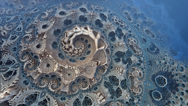 Обои картинки фото 3д графика, фракталы , fractal, фигура, геометрические, формы, ракушка