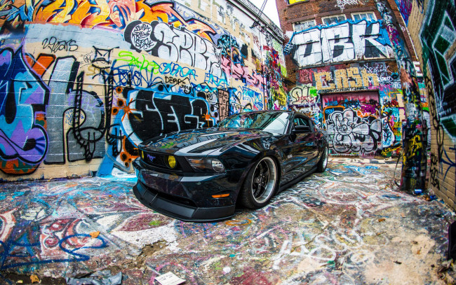 Обои картинки фото автомобили, mustang