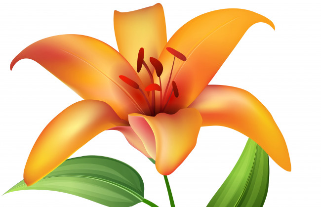 Обои картинки фото векторная графика, цветы , flowers, цветы, фон, лепестки